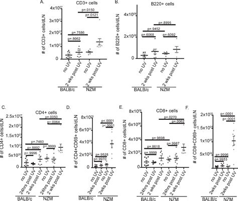 Ultraviolet light induces increased T cell activation in lupus